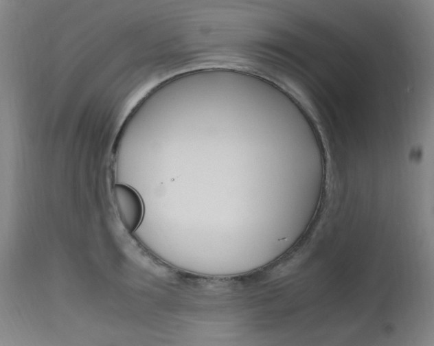 X0000112970899200908270940