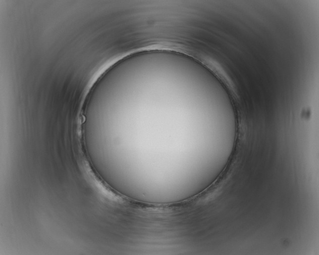 X0000112970900200908270940