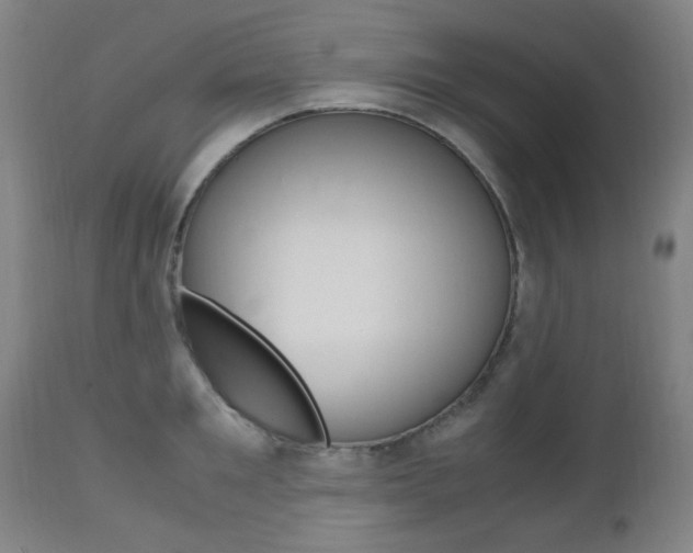 X0000112970901200908270940