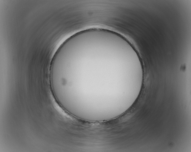 X0000112970903200908270940
