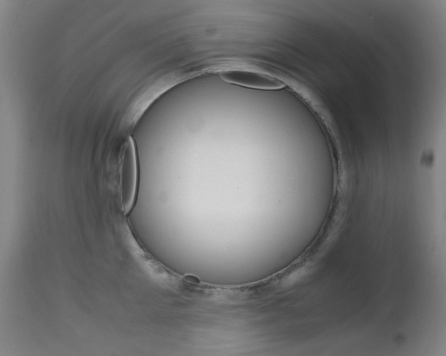 X0000112970905200908270940