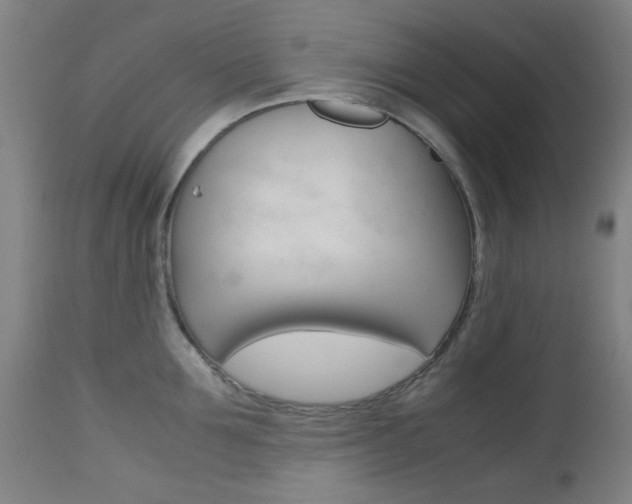 X0000112970907200908270940