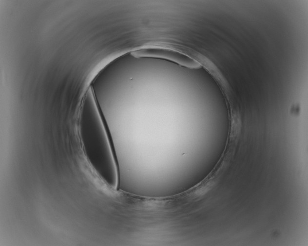 X0000112970908200908270940