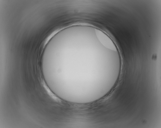 X0000112970909200908270940