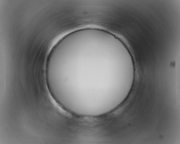 X0000112970910200908270940