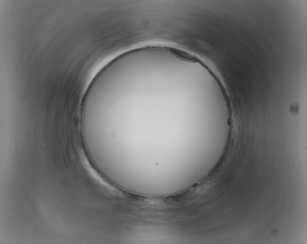X0000112970911200908270940