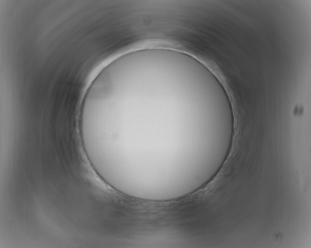 X0000112970912200908270940