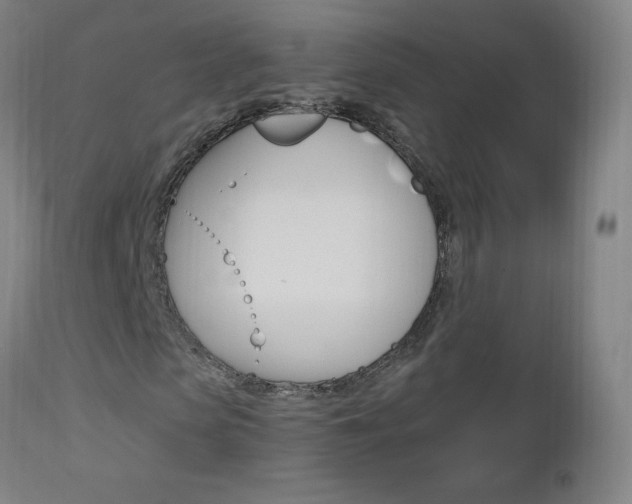 X0000112970913200908270939
