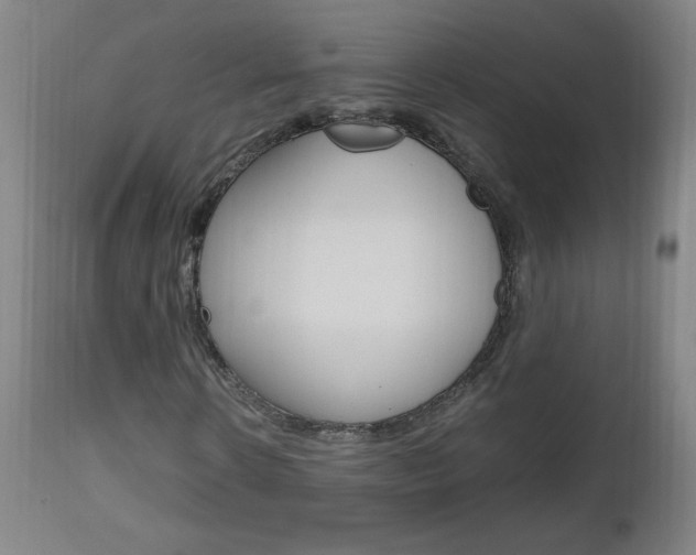 X0000112970914200908270939