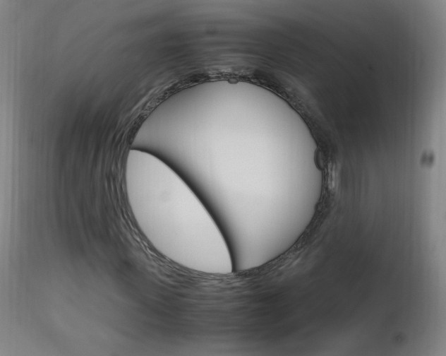 X0000112970915200908270939