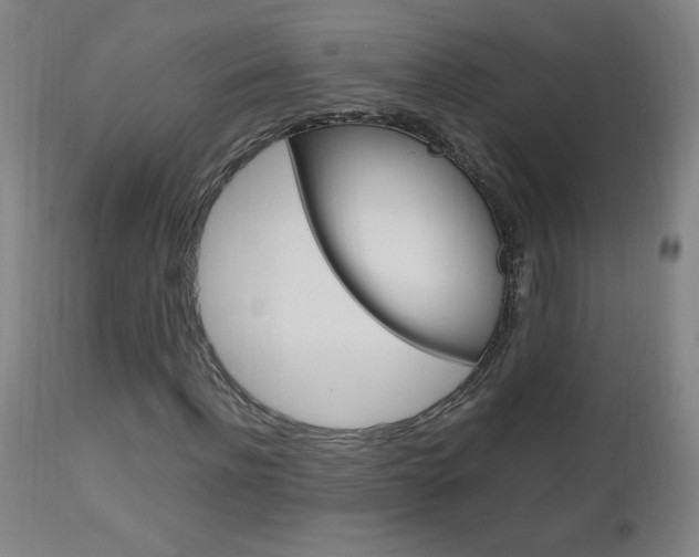 X0000112970916200908270939