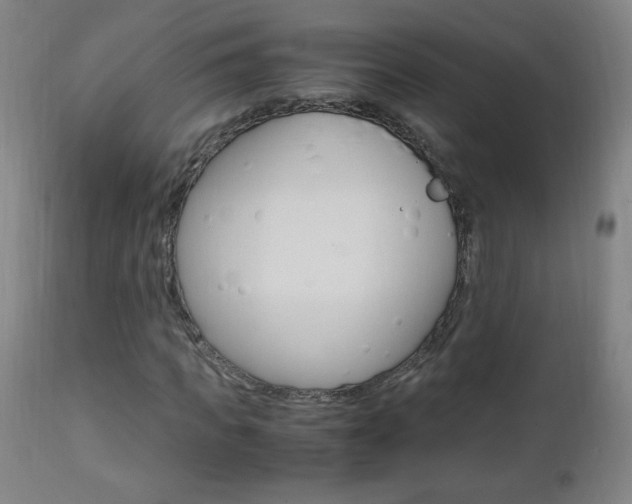 X0000112970917200908270939