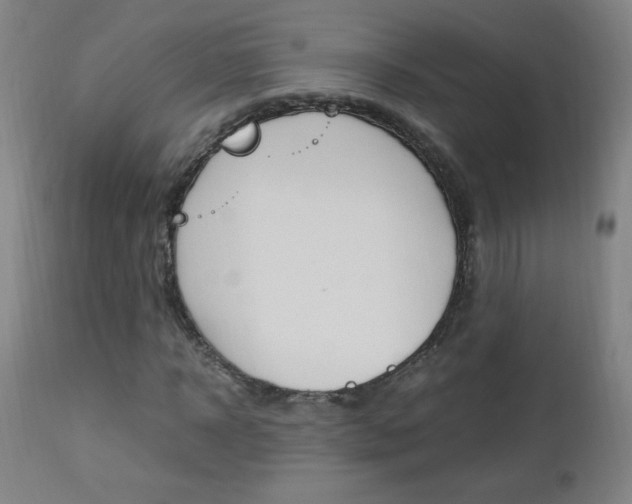 X0000112970918200908270939