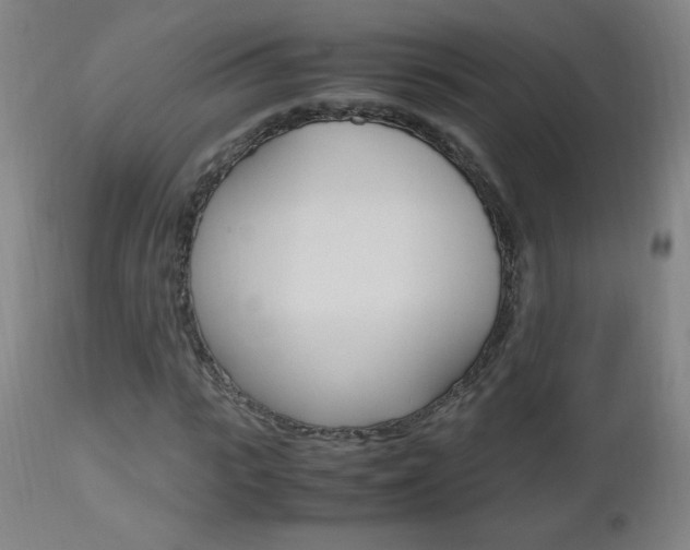 X0000112970919200908270939