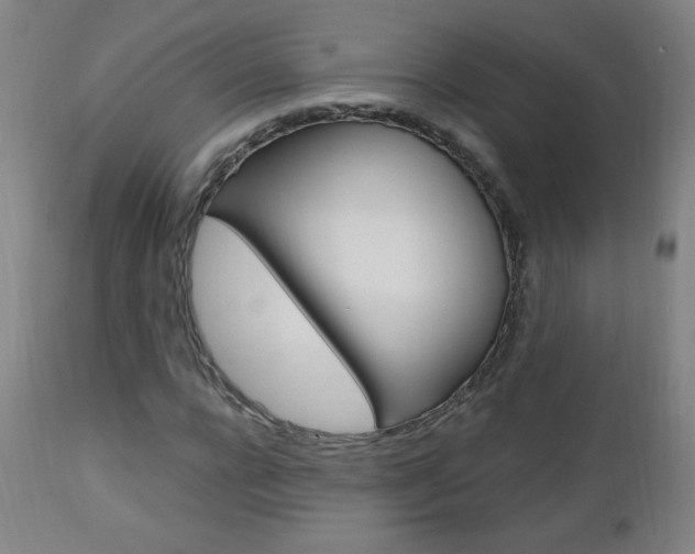 X0000112970920200908270939