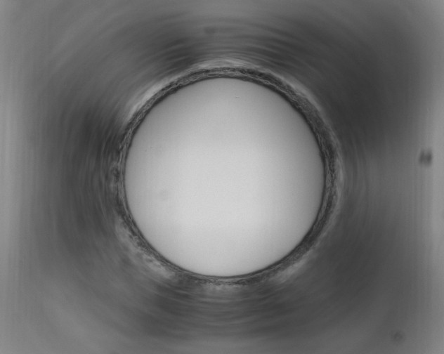 X0000112970921200908270939