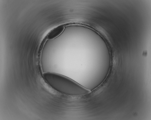 X0000112970924200908270939