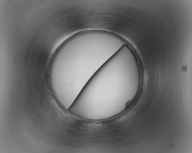 X0000112970925200908270939
