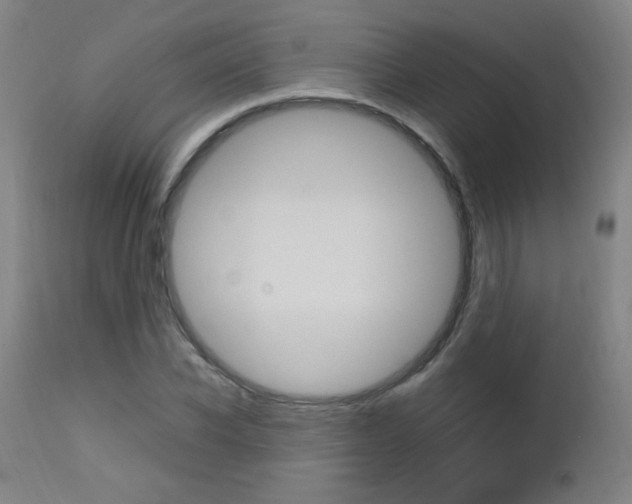 X0000112970926200908270939