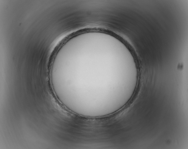 X0000112970927200908270939