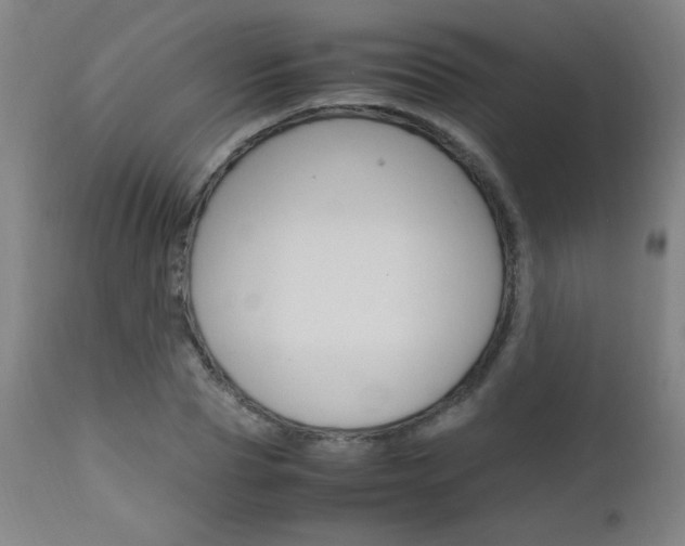 X0000112970929200908270939