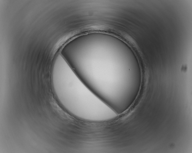 X0000112970930200908270940