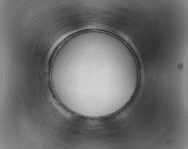 X0000112970931200908270940