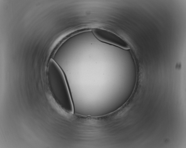 X0000112970932200908270940