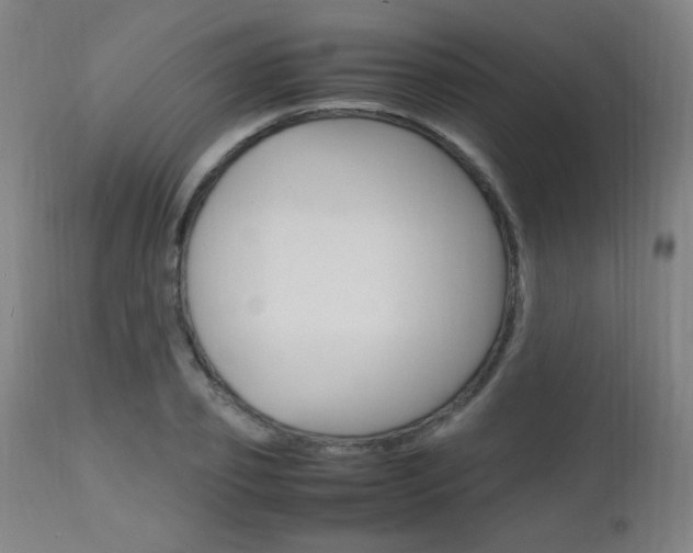X0000112970933200908270940