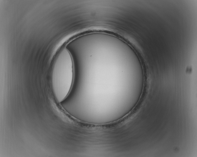 X0000112970934200908270940