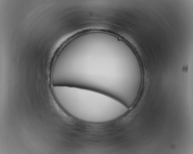X0000112970935200908270940
