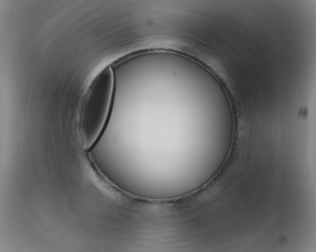 X0000112970936200908270940