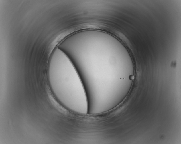 X0000112970938200908270940
