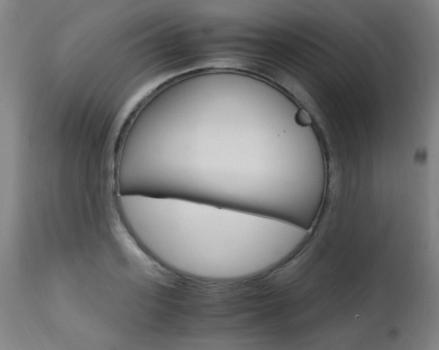 X0000112970939200908270940