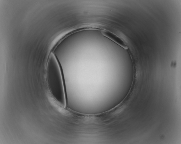 X0000112970940200908270940