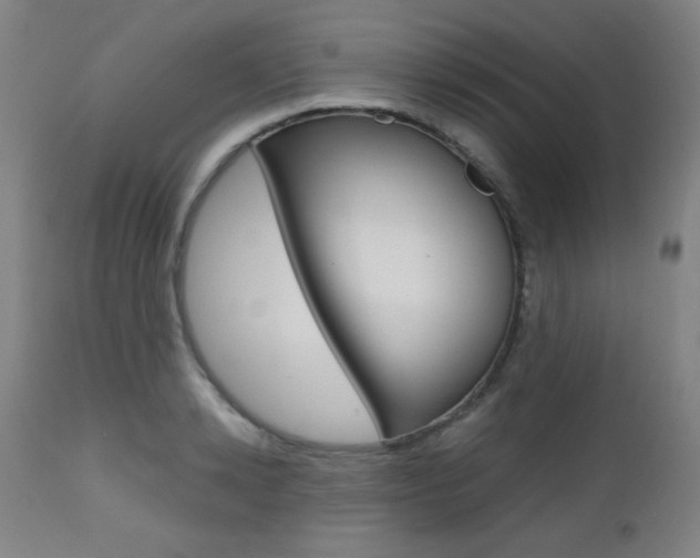 X0000112970942200908270940