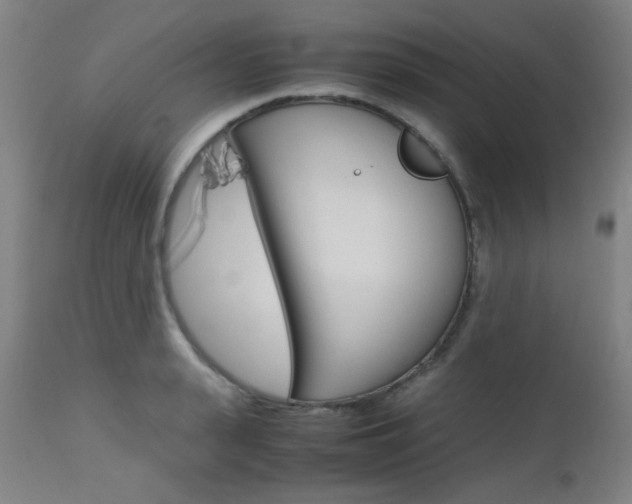X0000112970943200908270940