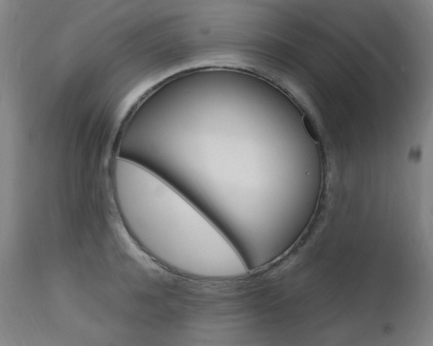 X0000112970944200908270940