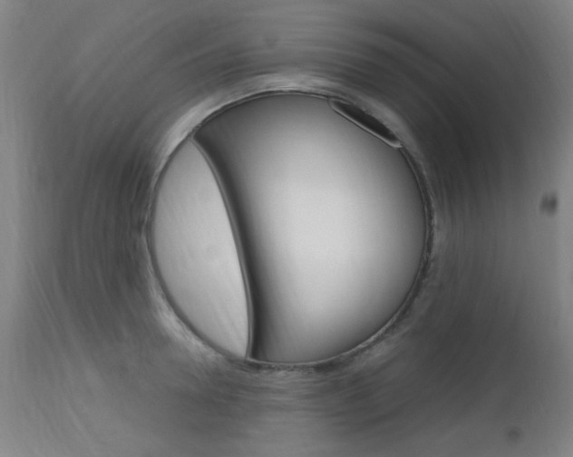 X0000112970946200908270940