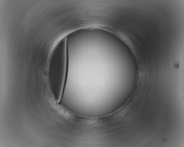 X0000112970948200908270940