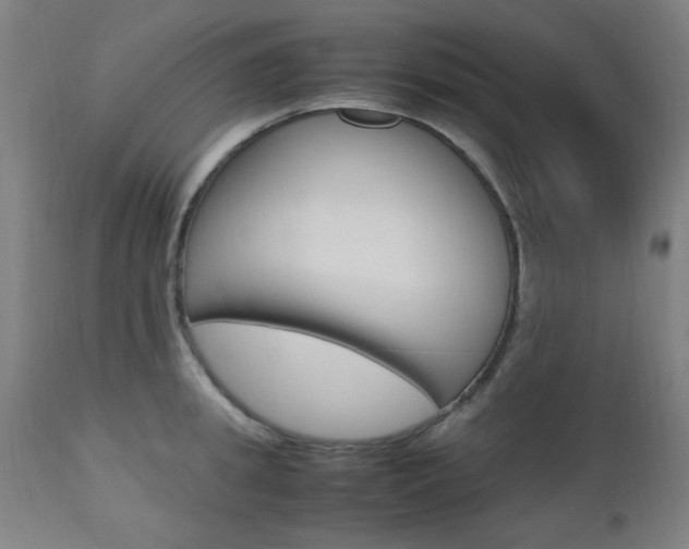 X0000112970949200908270940