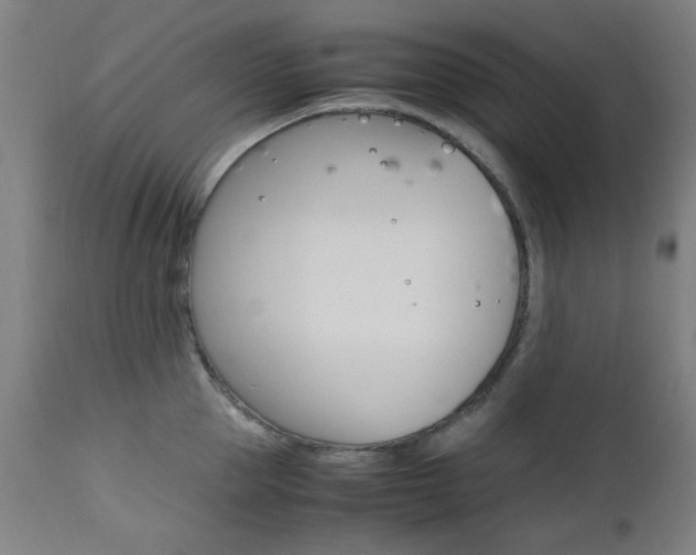 X0000112970953200908270940