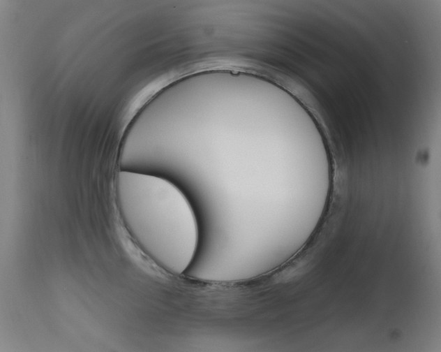 X0000112970954200908270940