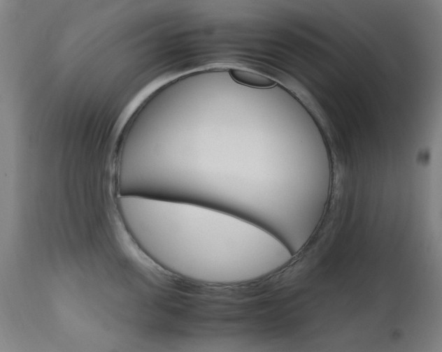 X0000112970955200908270940