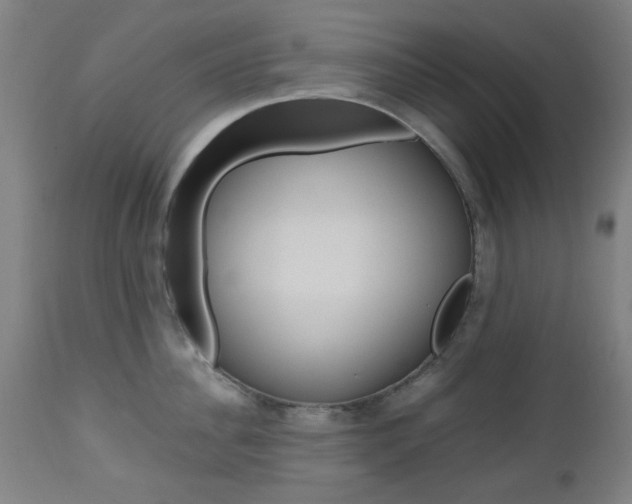 X0000112970956200908270940