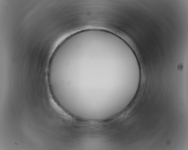 X0000112970958200908270940