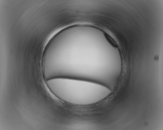 X0000112970959200908270940