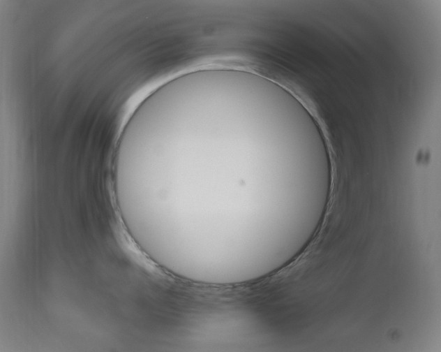 X0000112970960200908270940