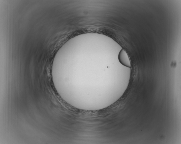 X0000112970962200908270939