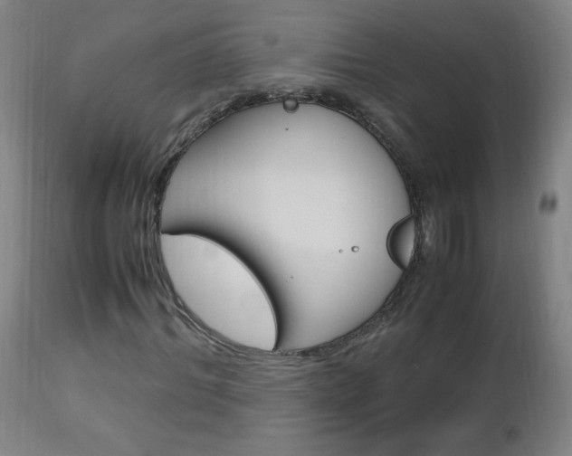 X0000112970964200908270939